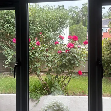 The Haven Luxury With Parking * Bristol